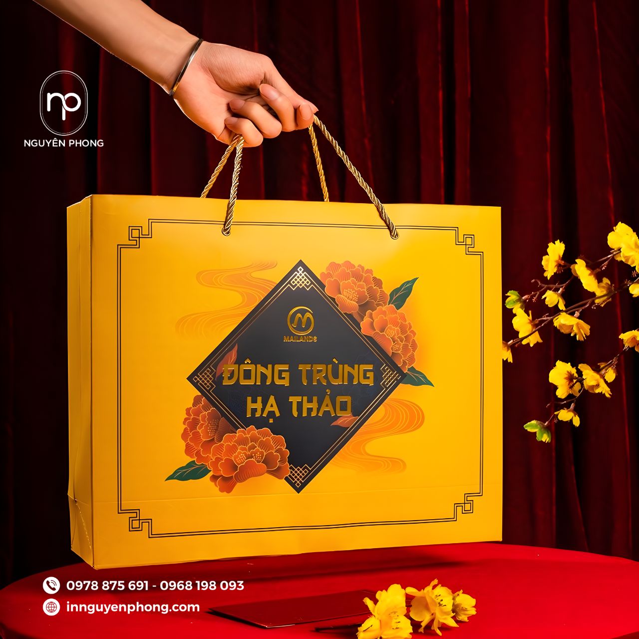 Mẫu túi giấy  đựng đông trùng hạ thảo cao cấp